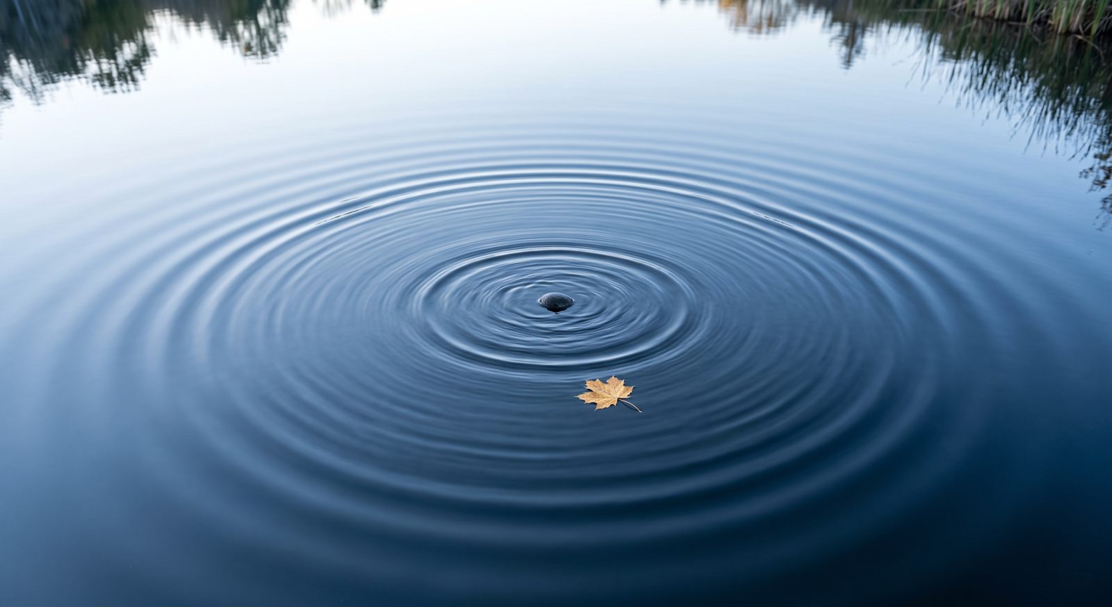 Ripples spreading across still water from a dropped stone